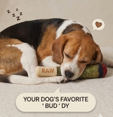 HazyDoggy Chew Toy (Two-Pack)